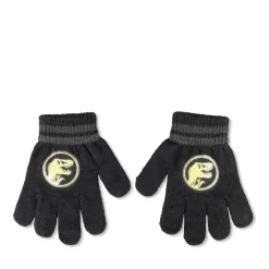 Handschoenen GRIJS