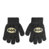 Handschoenen ZWART