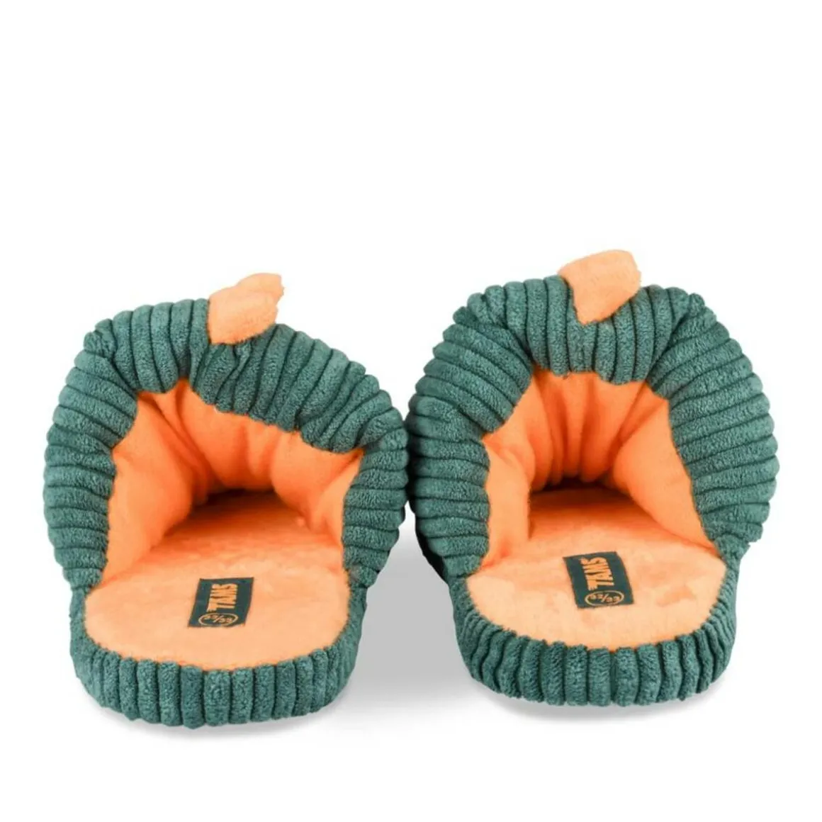 Pantoffels dinosaurus GROEN TAMS