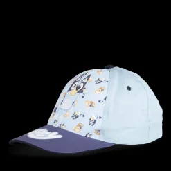Pet BLAUW