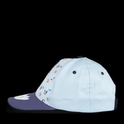 Pet BLAUW