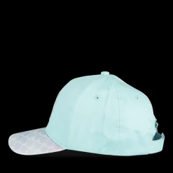 Pet BLAUW