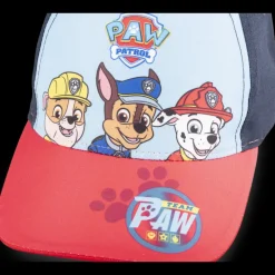 Pet MULTICOLOR