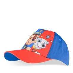 Pet MULTICOLOR