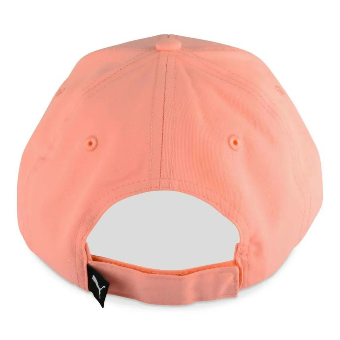 Pet ROZE