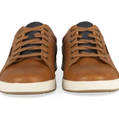 Sneakers KASTANJEBRUIN SKECHERS CAVELL