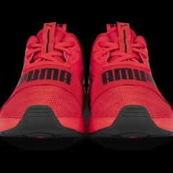 Sneakers ROOD PUMA SOFTRIDE WIRED 2 JR
