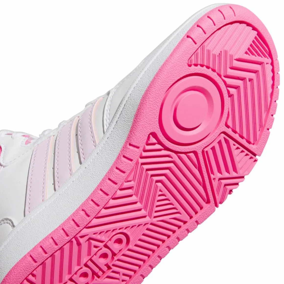 Sneakers ROZE ADIDAS HOOPS