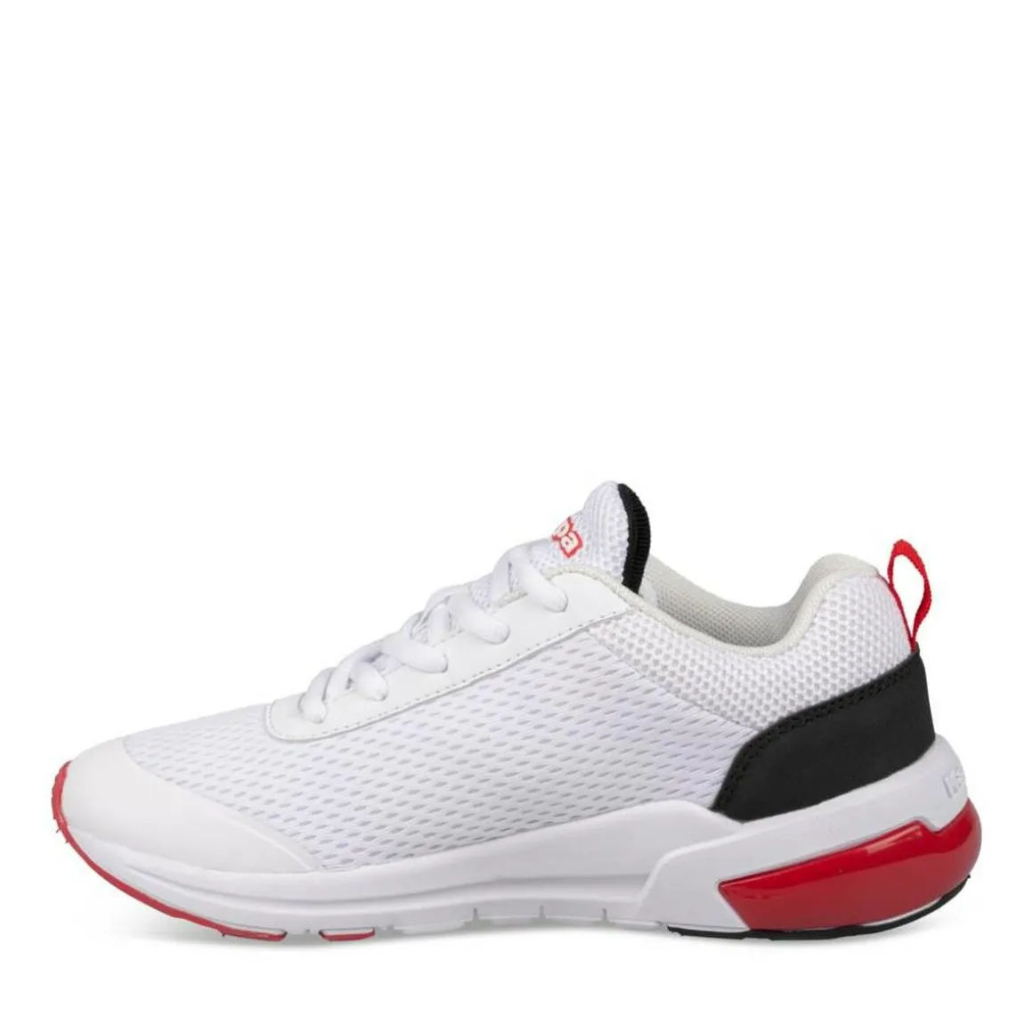 Sneakers WIT
